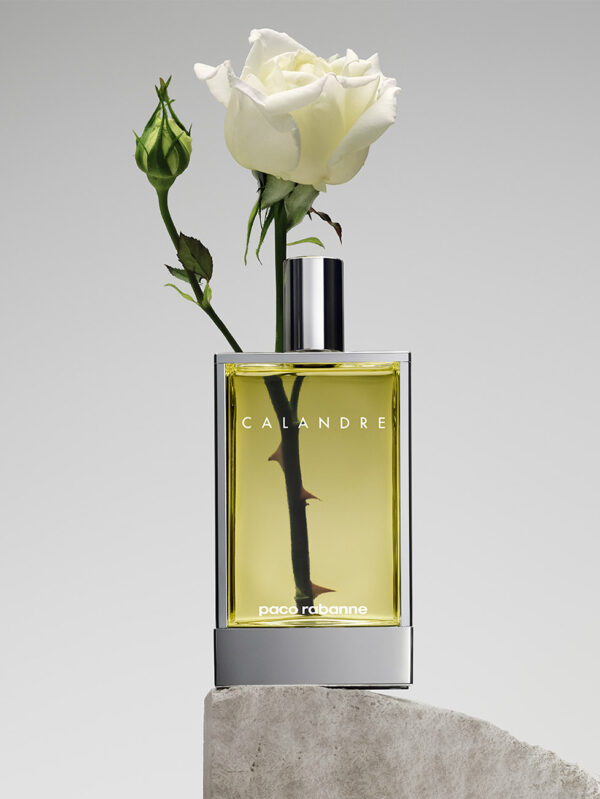 Flacon Calandre Paco Rabanne design Pierre Dinand bordure argentée inspirée Rolls-Royce