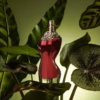 Parfum Jean Paul Gaultier La Belle