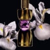 Yves Saint Laurent - Manifesto