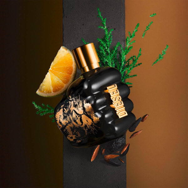 Coffret Diesel Spirit of the Brave