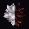 Givenchy L'Interdit Rouge