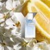 Yves Saint Laurent - Y Eau Fraîche