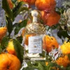 Guerlain Aqua Allegoria Mandarine Basilic Eau De Toilette 3346470143951
