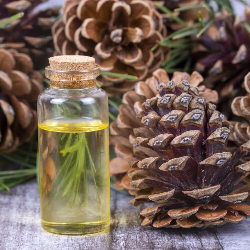 Parfums Senteur Cèdre