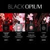 Black Opium Over Red