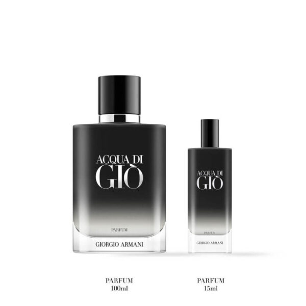 Coffret Acqua Di Giò Parfum 3614274692600 Armani