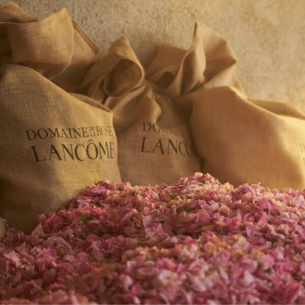 Parfum Lancôme Absolue Forbidden Rose