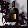 Black Orchid Tom Ford visuel campagne orchidées